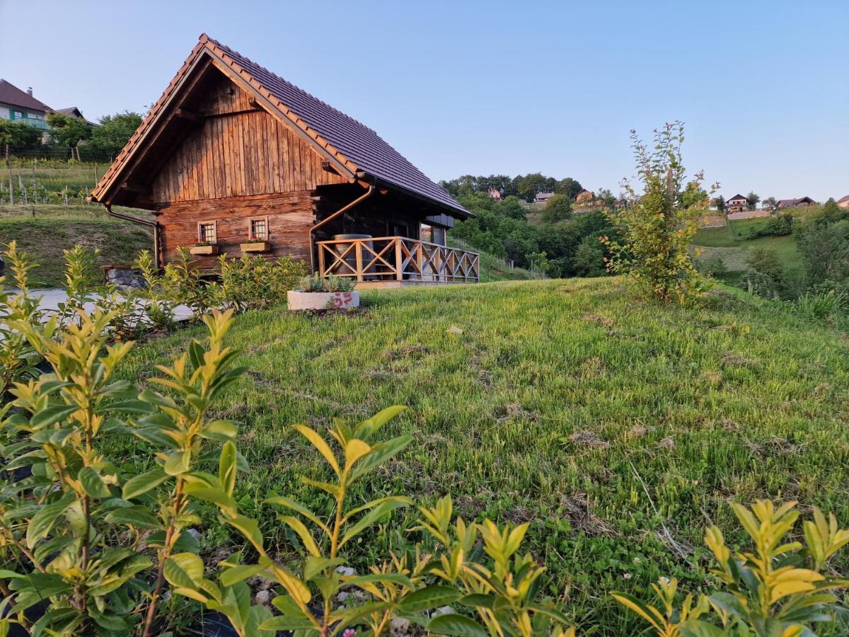 Ferienhaus Vineyard Vinska Grajska Kasca *