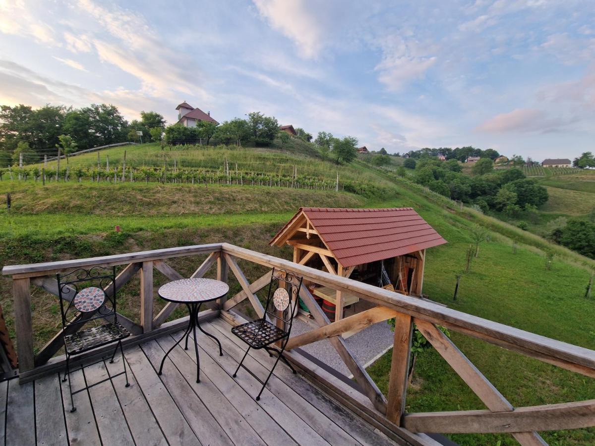 Vineyard Vinska Grajska Kasca Ferienhaus Mirna