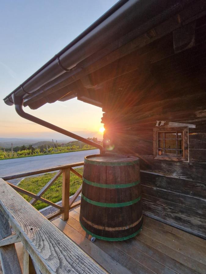 Vineyard Vinska Grajska Kasca Ferienhaus