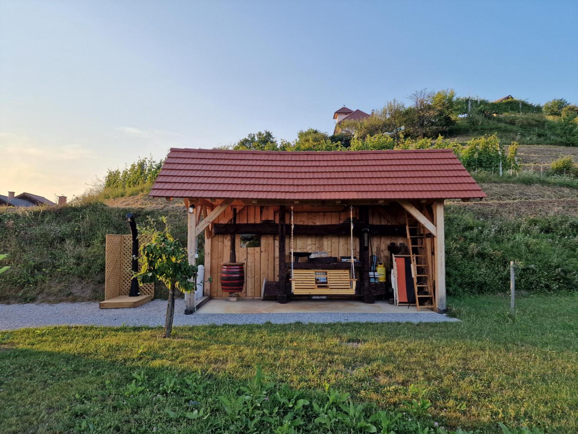 Vineyard Vinska Grajska Kasca